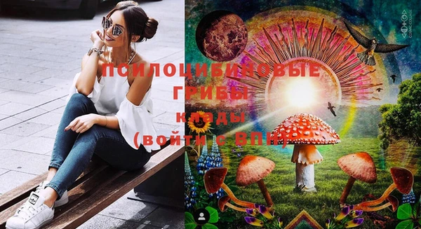 стаф Гусиноозёрск