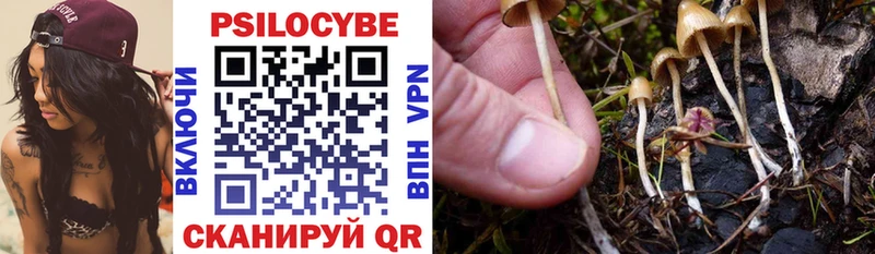 Галлюциногенные грибы прущие грибы Кукмор